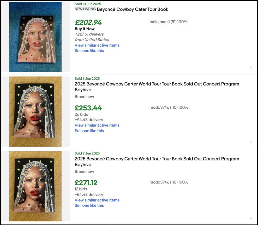 Beyonces_Tour_Book