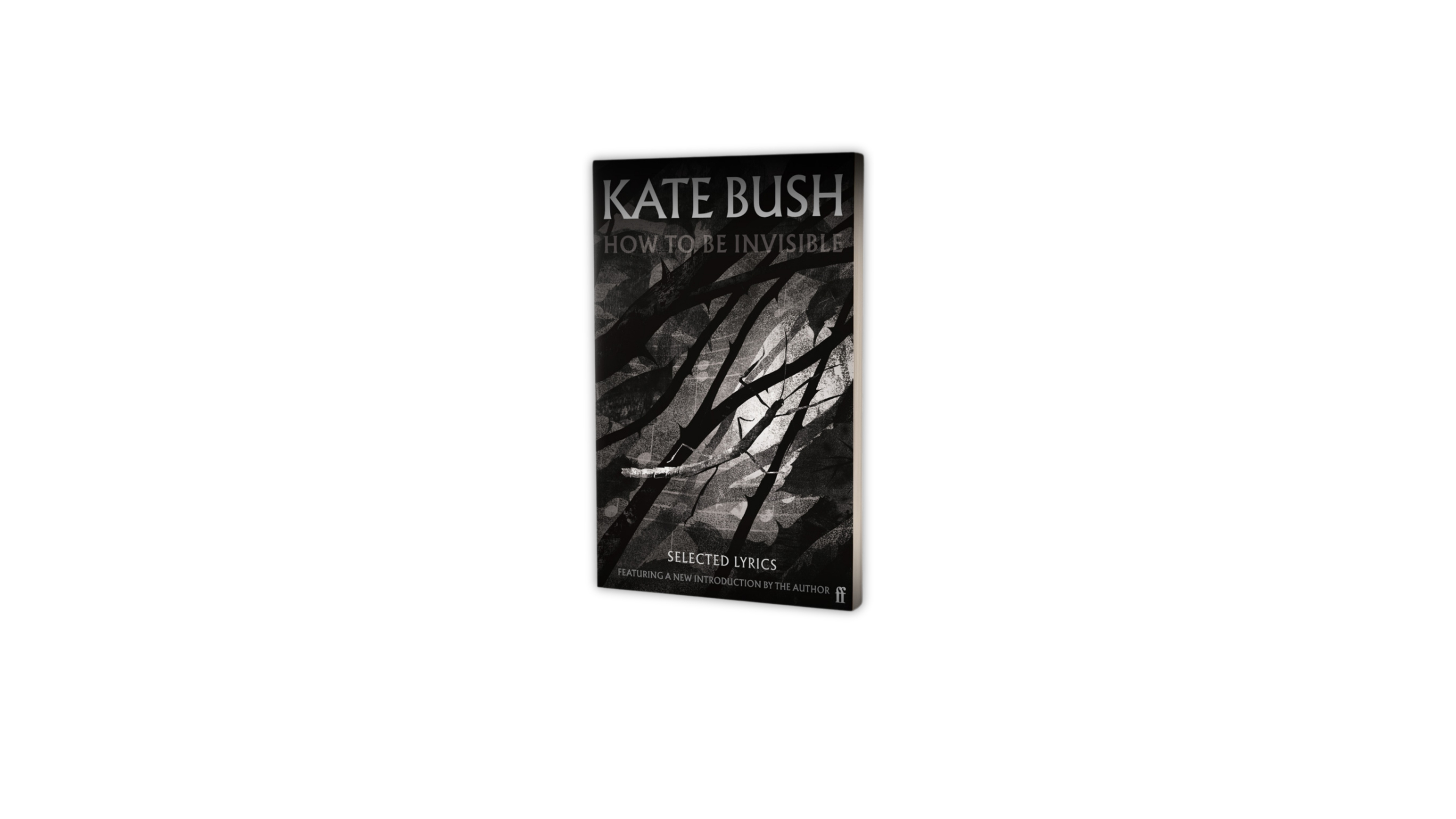Kate_Bush_How_to_be_Invisible_Signed_Edition